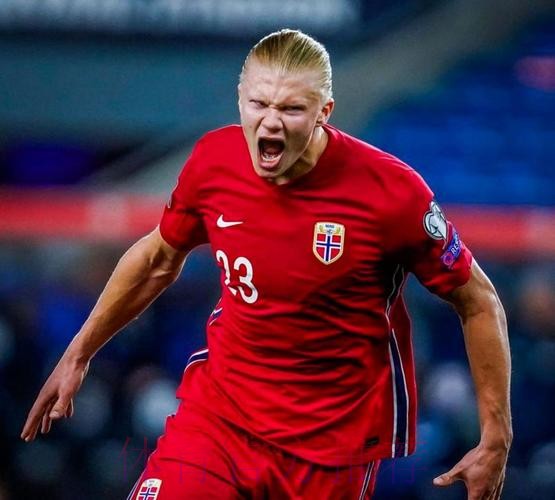 最新世界杯葡萄牙哈兰德比赛解读深度解读 最新世界杯葡萄牙哈兰德比赛解读深度解读